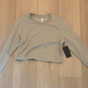 Light Gray Cropped Long Sleeve Top
